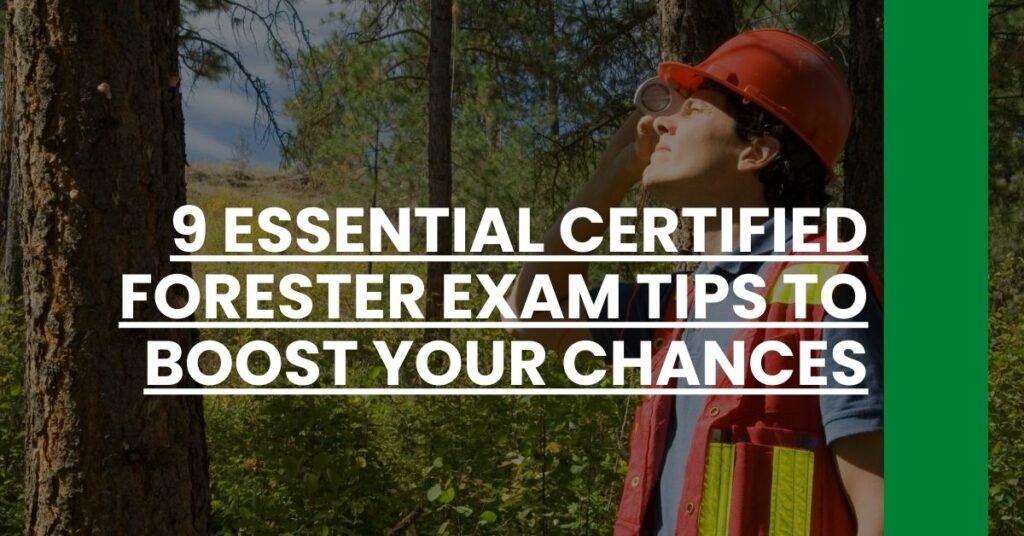 9 Essential Certified Forester Exam Tips to Boost Your Chances Feature Image