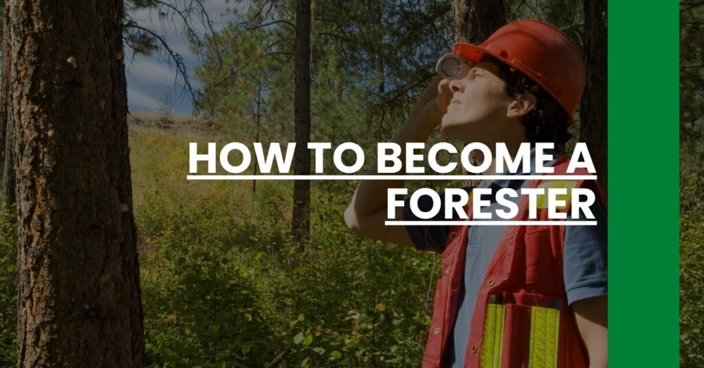 How to Become a Forester Feature Image