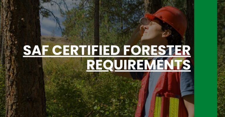 SAF Certified Forester Requirements Feature Image